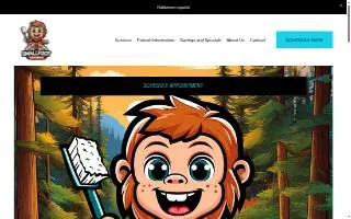 Smallfoot Kids Dental website