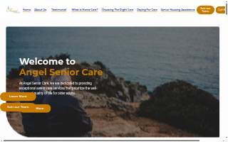 Angel Senior Care