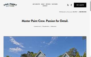 Pro Paint Nw