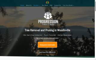 Progression Tree Care