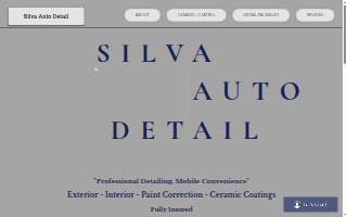 Silva's Auto Detail