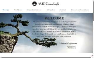 AMC Counseling LLC