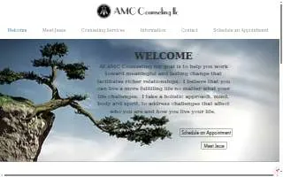 AMC Counseling LLC website
