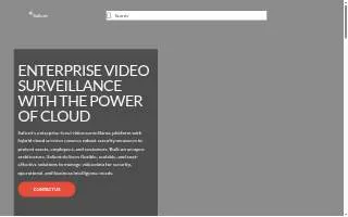 Salient Success Marketing, LLC website
