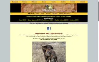 Dale Creek Gundogs LLC website