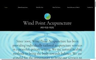 Wind Point Acupuncture of Caledonia