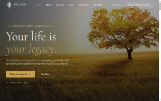 Wolf Tree Wealth Management