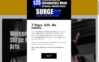 Surge Martial Arts of Germantown