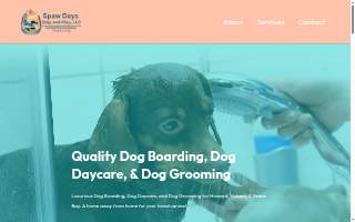 Spaw Days Stay and Play LLC