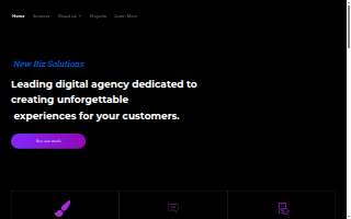 New Biz Solutions