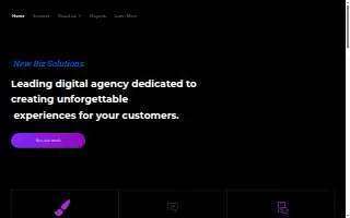 New Biz Solutions website