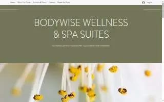 BodyWise Wellness & Spa of Kenosha website