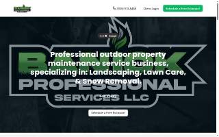 Banick Professional Services