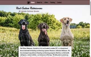 Red Cedar Retrievers