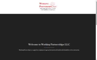 Working Partnerships Llc