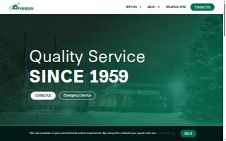 Dnesco Electric Inc