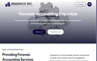 Sequence Inc. Forensic Accounting