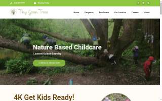 Tiny Green Trees Nature Based Childcare and Forest School