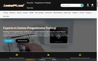 Canine P4 website