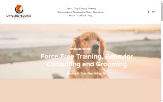 Upward Hound Dog Training