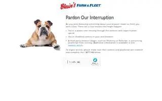 Blain's Farm & Fleet Tires and Auto Service website