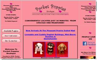 Pocket Puppies
