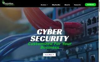 DataMax IT Services website