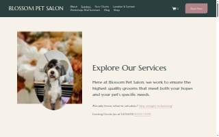 Blossom Pet Salon