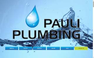 Pauli Plumbing Inc