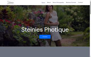 Steinies Photique
