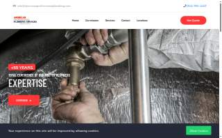 American Professional Plumbing Services Llc