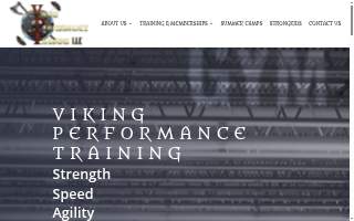 Viking Performance Training LLC