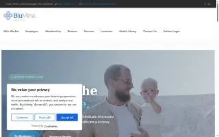 BluMine Health South Charleston website