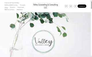 Valley Counseling