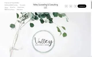 Valley Counseling of Teays Valley website