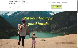 Huls Chiropractic PLLC