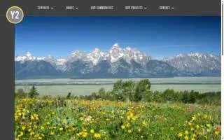 Y2 Consultants website