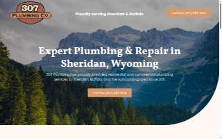 307 Plumbing Co.