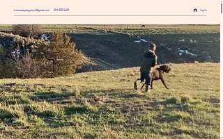 Home Away Dog Ranch