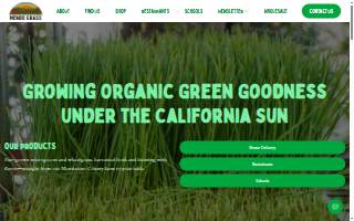 Mendo Grass website
