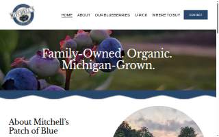 Mitchell's Patch of Blue LLC website