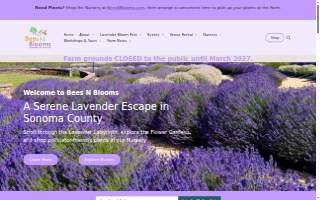 Bees N Blooms website