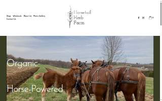 Rebecca Frye DBA Horsetail Herb Farm website