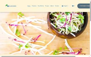 Salad Cosmo USA Corp website