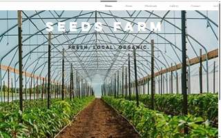 Seeds Farm, LLC website