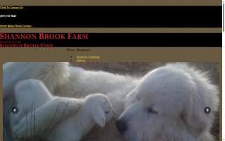 Shannon Brook Farm website