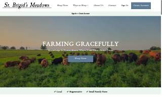 St. Brigid's Meadows 2.0 LLC website