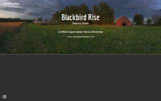 Blackbird Rise website