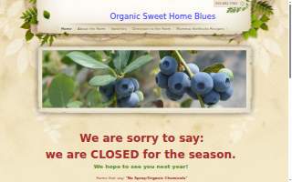 Sweet Home Blues website