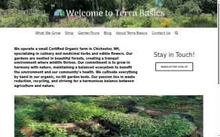 Terra Basics website